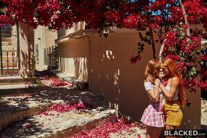 Original 1620 px/ 1080 px