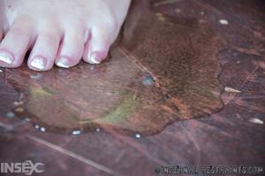 Original 1200 px/ 795 px