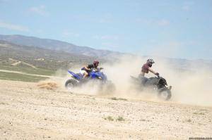 Original 2499 px/ 1663 px