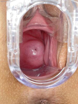 Original 1800 px/ 2400 px