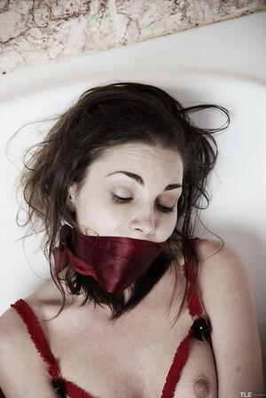 Original 4016 px/ 6016 px