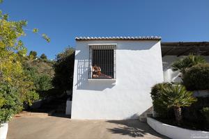 Original 4000 px/ 2668 px