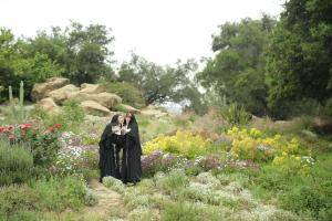 Original 1280 px/ 854 px