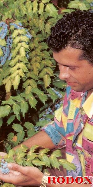 Original 402 px/ 800 px