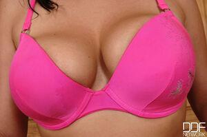 Original 2000 px/ 1328 px