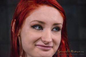 Original 1200 px/ 795 px