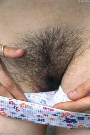 Original 683 px/ 1024 px