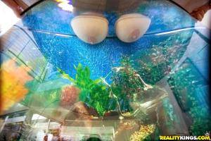 Original 900 px/ 600 px