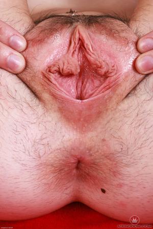 Original 2000 px/ 3000 px