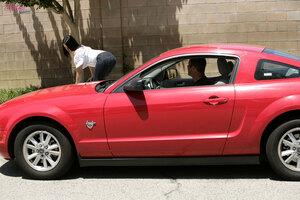 Original 1600 px/ 1067 px