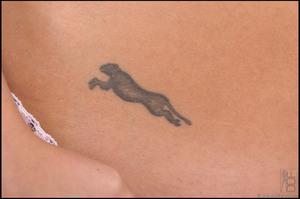 Original 1616 px/ 1071 px