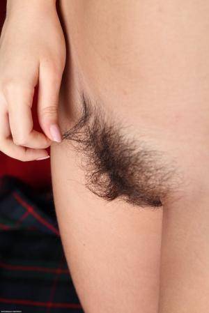 Original 854 px/ 1280 px