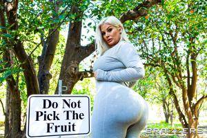 Original 3000 px/ 2000 px