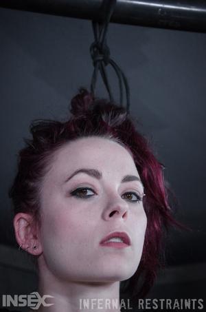 Original 795 px/ 1200 px