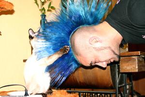 Original 1536 px/ 1024 px