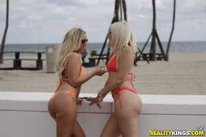 Original 1903 px/ 1269 px