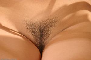 Original 1536 px/ 1024 px