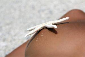 Original 4000 px/ 2667 px