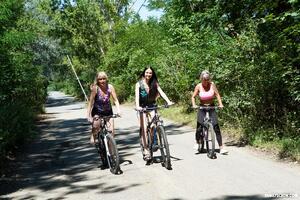 Original 6000 px/ 4000 px