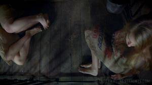 Original 1200 px/ 675 px