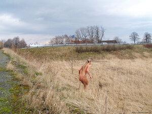 Original 1600 px/ 1200 px