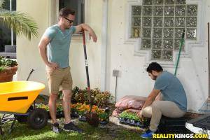 Original 1901 px/ 1269 px