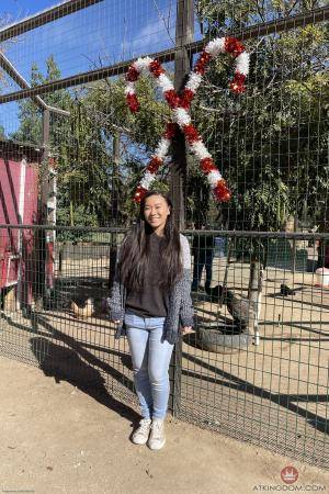 Original 2000 px/ 3000 px