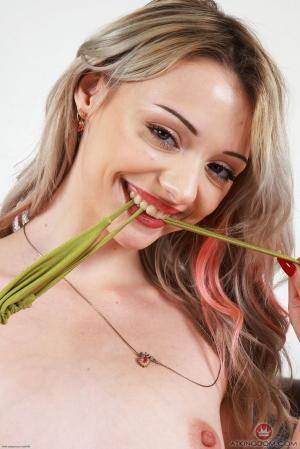 Original 2001 px/ 3000 px