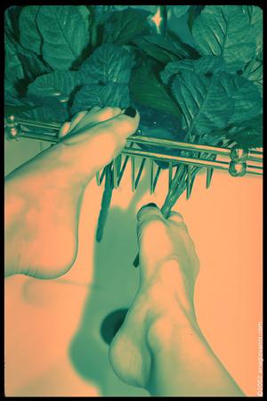 Original 1066 px/ 1600 px