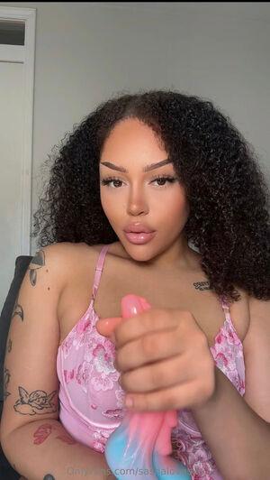 Original 1179 px/ 2092 px