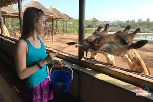 Original 3000 px/ 2000 px