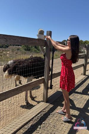 Original 3333 px/ 5000 px