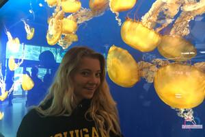 Original 3000 px/ 2000 px