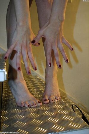 Original 683 px/ 1024 px