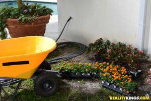 Original 1901 px/ 1269 px