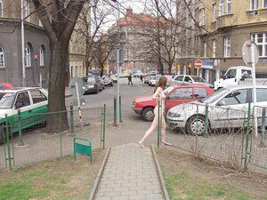 Original 1024 px/ 768 px