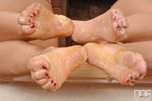 Original 2592 px/ 1721 px