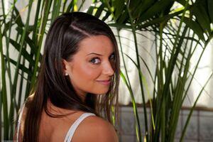 Original 1280 px/ 854 px