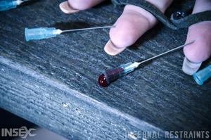 Original 1200 px/ 795 px