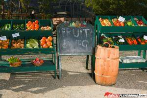 Original 1903 px/ 1269 px