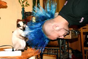 Original 1536 px/ 1024 px