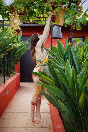 Original 2883 px/ 4324 px