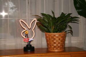 Original 1000 px/ 667 px