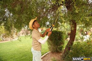 Original 2000 px/ 1333 px