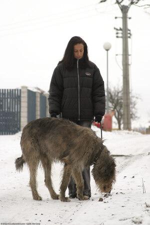 Original 1024 px/ 1536 px