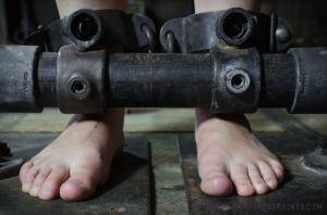 Original 1200 px/ 795 px