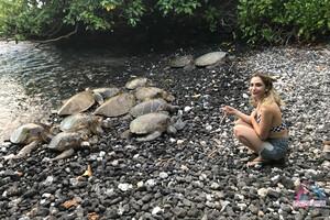 Original 3000 px/ 2000 px