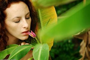 Original 1536 px/ 1024 px