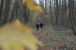 Original 4000 px/ 2667 px