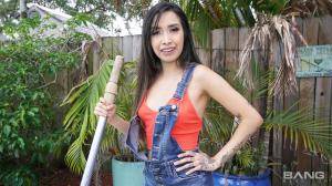 Original 2600 px/ 1462 px